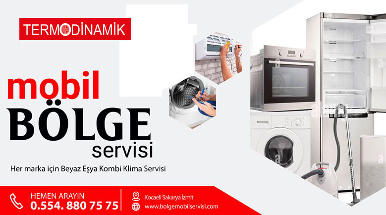 Termodinamik Sakarya Kocaeli Kombi Servisi
